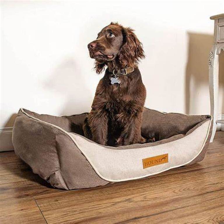 Why a Good Dog Bed is Important