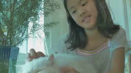 Top 10 Best Cat Breeds for Families! #cats