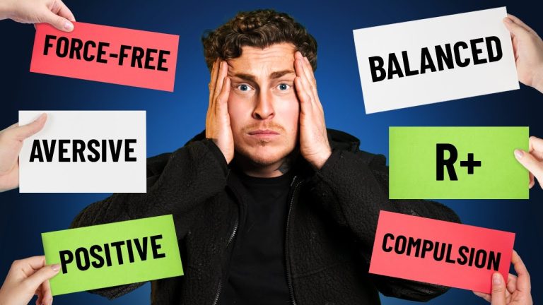 Confused about dog training?  Here’s what you’re doing wrong