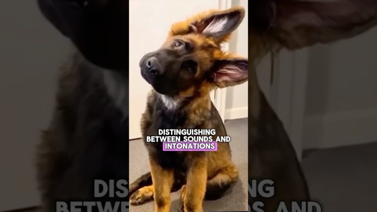 Why they look at you like this? 😳