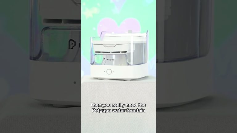 If you care deeply about your cats' health, you might need this#petgugu #shorts #waterfountain #fyp