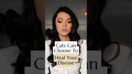 Cats Can Choose to Heal Your Disease 🐱