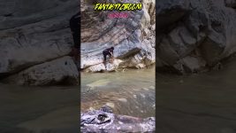 STURGEON FISHING WITH CROCODILES