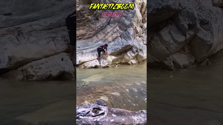 STURGEON FISHING WITH CROCODILES