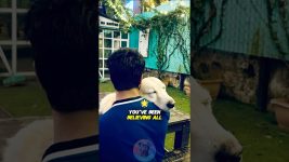 3 Myths About Dog Behavior You're Been Believing All Along #dog #dogtraining #pets #doglover