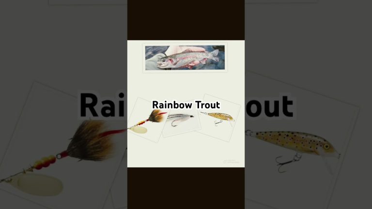 How to catch every freshwater fish part 2 #fishing #fishingequipment #bass #freshwaterfishing