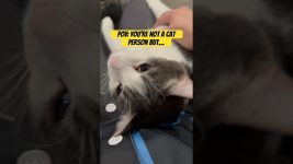 POV: When you’re not a cat person but this happens