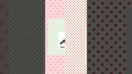 Pigeon Name/Picture -Part 1 #birds #pigeon #pets #animals