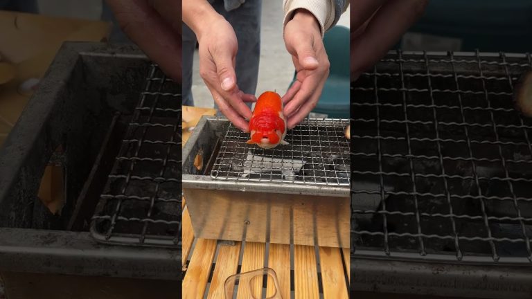 Can I eat the dead goldfish after grilling it?#koi #fish #goldfish #animal #grilling