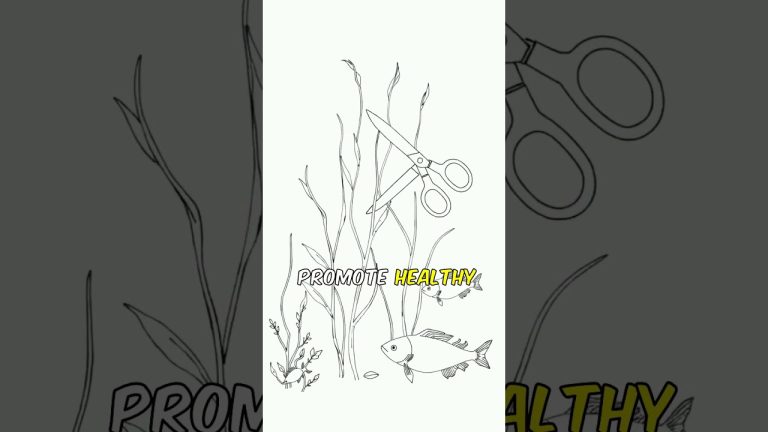 Aquarium Zen: The Art of Fish Tank Maintenance