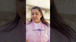 Issues in dogs gut health #care #pets