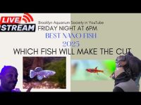 Ranking Nano Fish 2025