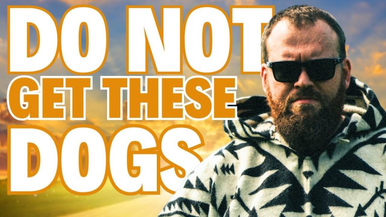 DO NOT Get These Dog Breeds!