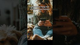 Unexpected Things that affect your Dog's Behavior #5 #dogs #dogtraining #dogbehavior