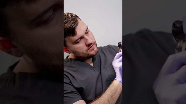 Dental Malocclusion in Dogs | Top 100 common disease in dogs #shorts #bellaandbuddy #malocclusion