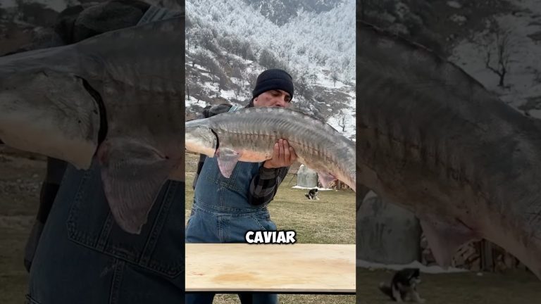 The most Luxurious Fish 😵😱#shorts #trending