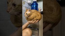 She Found Her Identical Twin 😂