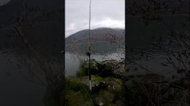 Sturgeon opening day. #fishing #outdoors #fish #Sturgeon #columbiariver #shorts