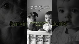 Unexpected Things that Affect your Dog's Behavior #2 #dogs #dogtraining #dogbehavior