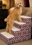 Best Dog Stairs for Bed in 2026: Top Picks for Every Dog Size and Budget