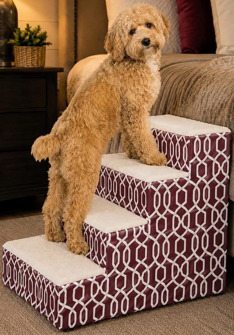 Best Dog Stairs for Bed in 2026: Top Picks for Every Dog Size and Budget