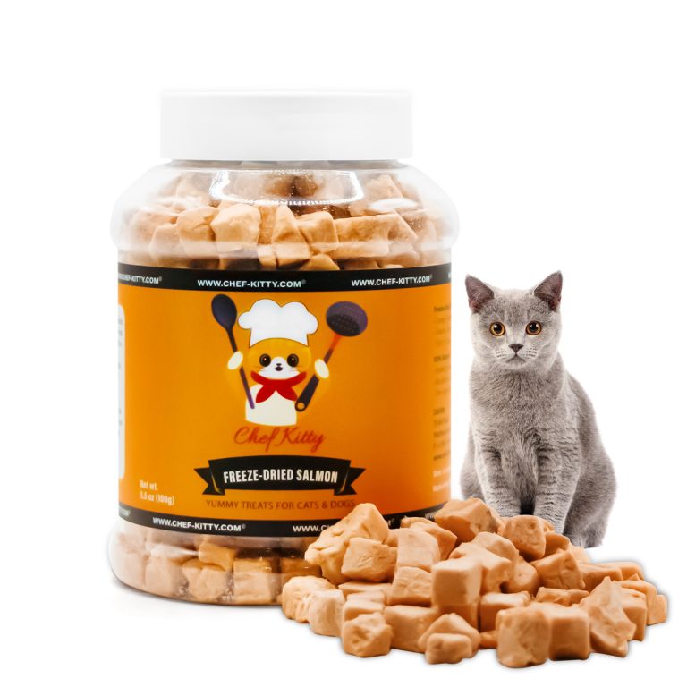 Best Freeze-Dried Cat Treats in 2026: Our Top Picks for Healthy, Happy Cats