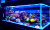 Best Fish Tank Filters in 2026: Top Picks for Crystal Clear Water
