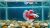 Best Betta Fish Tanks in 2026: Top Picks for a Happy, Healthy Betta