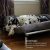 Best Indestructible Dog Beds for Heavy Chewers in 2026