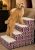 Best Dog Stairs for Bed in 2026: Top Picks for Every Dog Size and Budget