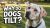 Dog Behavior Secrets Pet Owners Wish They Knew