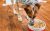 Best Dog Food for Skin Allergies in 2026: Top Picks to Stop the Itch