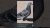 #youtubeshorts #birds #whenmydaughterisnothungry #indianmusic #music #pegion lover #chinaa